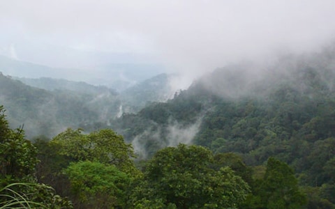 Brahmagiri Wildlife Sanctuary